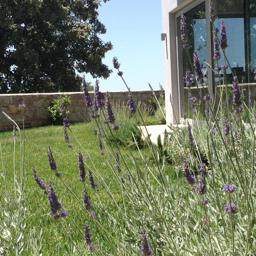Lidea Boutique Hotel Potamos  Exteriör bild